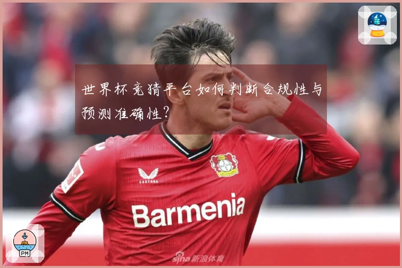 世界杯竞猜平台如何判断合规性与预测准确性？
