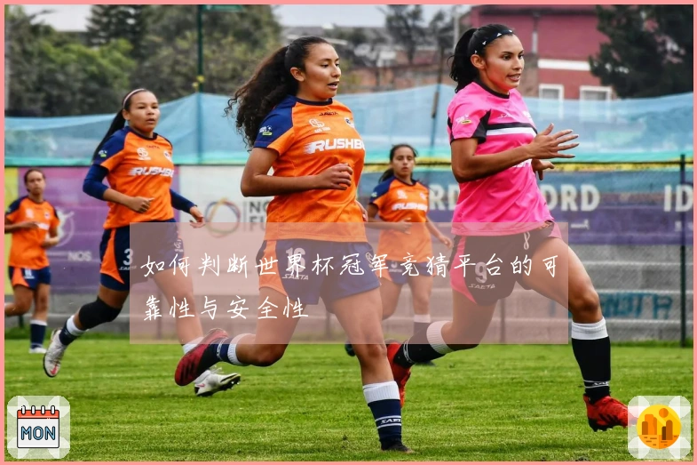 如何判断世界杯冠军竞猜平台的可靠性与安全性